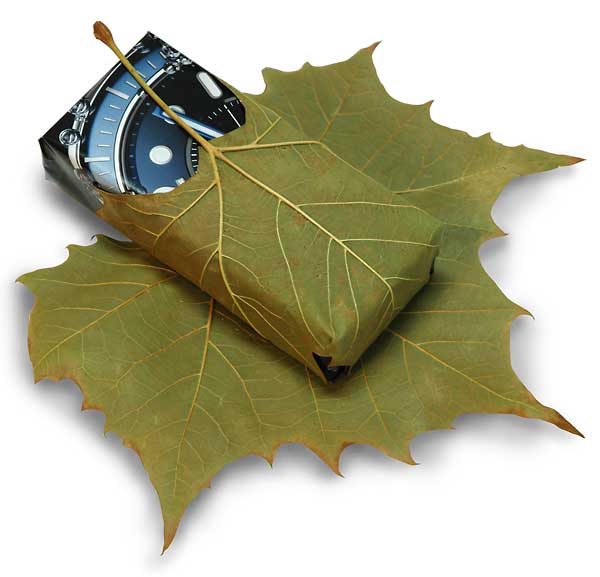 leaf-wrap